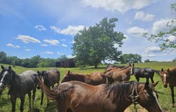 000b Tewmey Ln., Harrodsburg, KY 40330