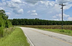 0 Salem Rd, Turbeville, SC 29051