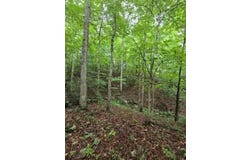 Beechmont Road, Morehead, KY 40351
