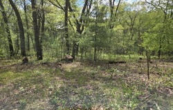 1163 Brown Bear Trail, Nekoosa, WI 54457