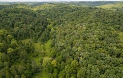 517 Lake Road, Fort Gay, WV 25514