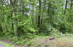 Lot 25 Omega Drive, Whitwell, TN 37397