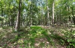 00 BRUMBAUGH CEMETARY ROAD, SAXTON, PA 16678