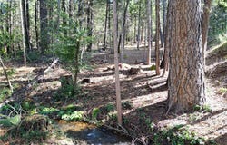 0 Skyway, Magalia, CA 95954