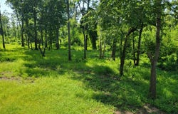 000 Rokofee Road, Vidalia, LA 71373