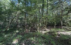 2548 Callaway Road, Rayle, GA 30660