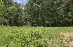 230 Wells Rd, Powell, TN 37849
