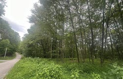 153 Windflower Drive lot: 153 Bern Section, Terra Alta, WV 26764