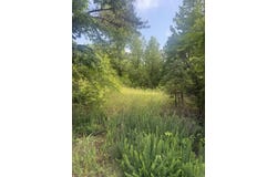 3282 Greene 625 Rd, Paragould, AR 72450