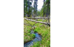 Pioneer Ridge, Neihart, MT 59465