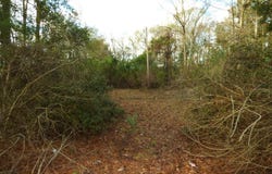 1304 24th Street, McComb, MS 39648