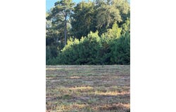 2530 Co Rd 45, Reform, AL 35461