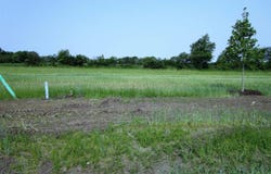 1015 Palisades Court, Iowa Falls, IA 50126