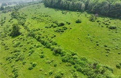 78 Lower Fairfield Rd., Newark Valley, NY 13811