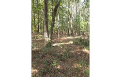 1142 Choice Road, Johns Island, SC 29455