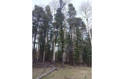 Tract I Spruce Mtn Rd, Cotopaxi, CO 81223