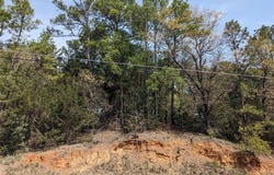 1339 Lamaloa LN, Bastrop, TX 78602
