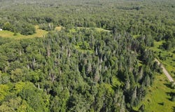 14727 Sprandel Road, Wagner Twp, MN 55735
