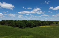 Ruby Hall Road, Gentry, AR 72734
