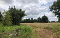 27602 State Highway 96, Carl Junction, MO 64834