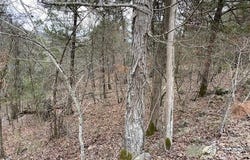 125 Beaver  CIR, Holiday Island, AR 72631