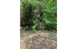 CR 4131, Mount Vernon, TX 75457