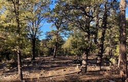 Los Nidos Lane, Pecos, NM 87552