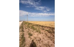 Canyon E Parkway, Canyon, TX 79015