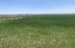 TBD Lower Spring Creek Road, Hermosa, SD 57744