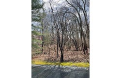 18655 Forest Beach Drive, New Buffalo, MI 49117