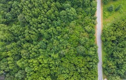 BURNT MILL Road, RIDGELY, MD 21660