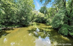 Parcel B W Irving Road, Middleville, MI 49333