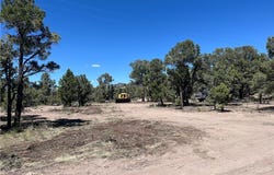 Lomprey, Pioche, NV 89043