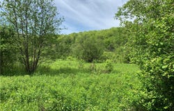 0 Bingham Collins Road, Columbus, NY 13460