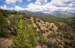 000 Deer Mesa, Valdez, NM 87580-0000