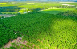 4060 County Farm Road Road, Blackshear, GA 31516