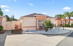 919 MEDIRA DRIVE, THE VILLAGES, FL 32159