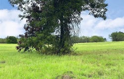 Lot 131 Lake Vista Drive, Streetman, TX 75859
