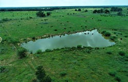 CANNON SNAP Rd, Milano, TX 76556