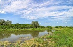 6144 FM 2237, Flatonia, TX 78941