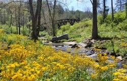 240 Westridge Farm Road unit: 19, Asheville, NC 28804