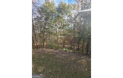 2412 Snowshoe Bend, Bethlehem, GA 30620
