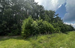 0 Methodist Park Road, West Columbia, SC 29170