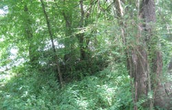 0 Ellison Street Street, Corbin, KY 40701