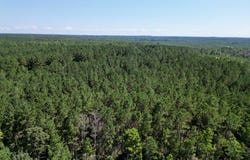 NHN Hwy 43, Poplarville, MS 39470
