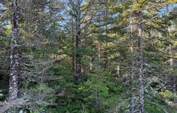 TBD M26, Eagle Harbor, MI 49950