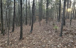 6809 HIGHWAY 11, PELHAM, AL 35124