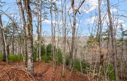 Ellijay, GA 30540