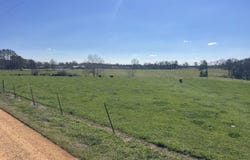 557 Bass Laird Road Tract B, Prentiss, MS 39474