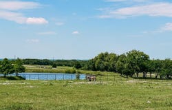 Tbd Lot 1 CR 177 Road, Celina, TX 75009